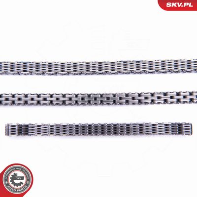 CHIT LANT DE DISTRIBUTIE ESEN SKV 21SKV162 2