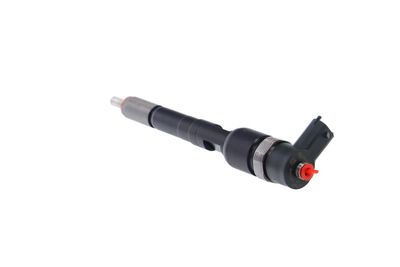 INJECTOR REMANTE 002003001717R 20