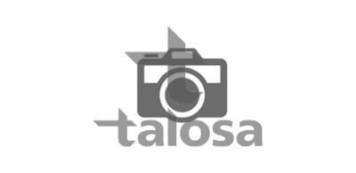 Шарнир независимой подвески / поворотного рычага TALOSA 47-12903 для TESLA MODEL S	