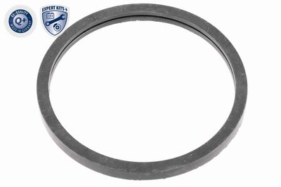 TERMOSTAT LICHID RACIRE VEMO V95990010 1