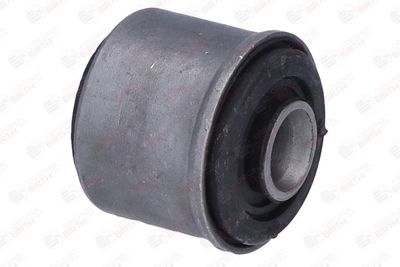 SUPORT TRAPEZ BIRTH 2439 10