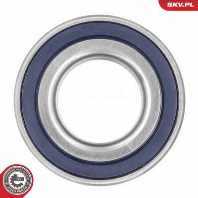 SET RULMENT ROATA ESEN SKV 85SKV006 3