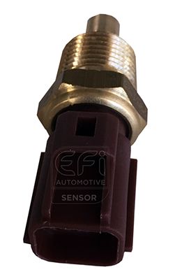 датчик, темература на маслото EFI AUTOMOTIVE 295153