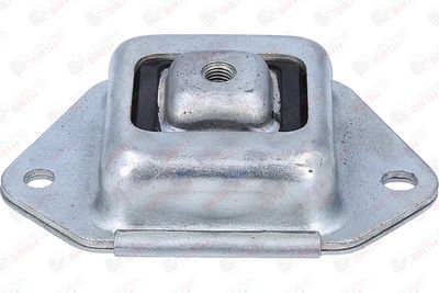 BUCSA PUNTE BIRTH 53920 1