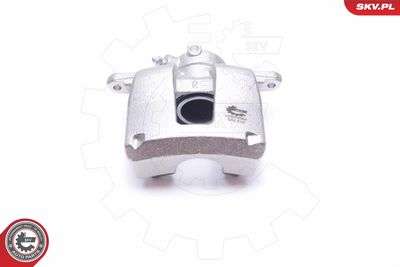 Brake Caliper 50SKV084