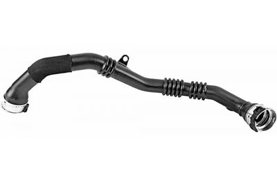 FURTUN EAR SUPRAALIMENTARE