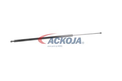 AMORTIZOR PORTBAGAJ ACKOJA A380069 59