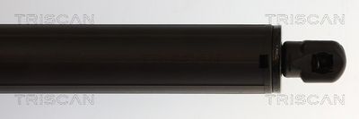 Plynárenská vzpera (pneumatická pružina), zavazadlový priestor TRISCAN 8710 29344