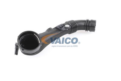 ANSAUGSCHLAUCH LUFTFILTER VAICO V203973 54