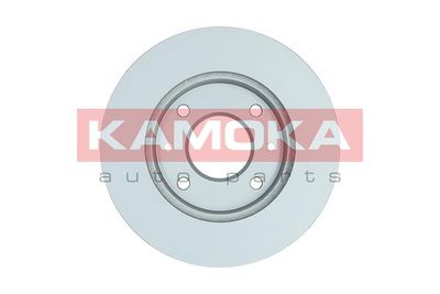 Brake Disc 1031770