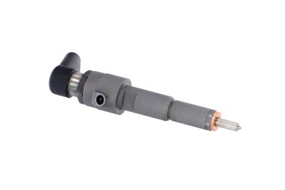 INJECTOR REMANTE 002003001356R 46