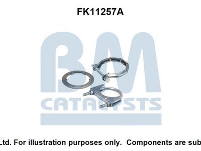 zestaw montażowy, filtr sadzy / filtr cząstek stałych BM CATALYSTS FK11257
