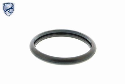 TERMOSTAT LICHID RACIRE VEMO V25991705 1