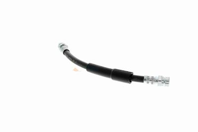 FURTUN FRANA VAICO V104141 6