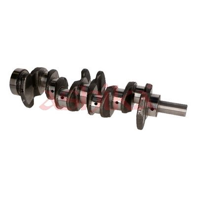 ARBORE COTIT ASHIKA 18KI003 1
