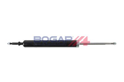 AMORTIZOR BOGAP B3411103 1