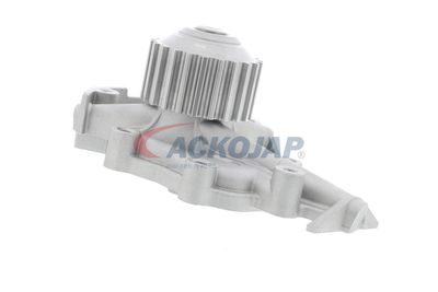 POMPă DE APă RăCIRE MOTOR ACKOJA A510700 42