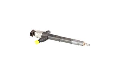 INJECTOR REMANTE 002003002085R 45
