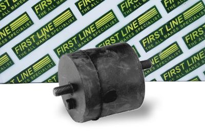 окачване, двигател FIRST LINE FEM3179