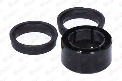 BUCSA ARBORE DE DIRECTIE BIRTH 4142 6