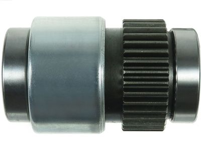 AS-PL Ritzel, Starter