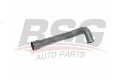 BSG BSG 25-720-037 Турбина для FIAT DOBLO c бортовой платформой/ходовая часть (263_) 1.3 D Multijet