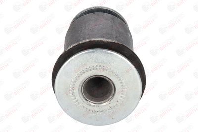 SUPORT TRAPEZ BIRTH 2905 10