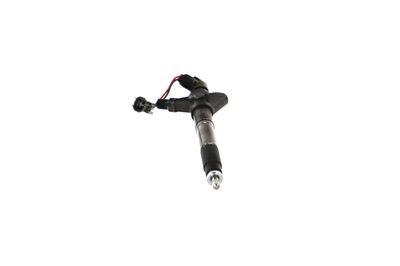 INJECTOR REMANTE 002003001324R 53