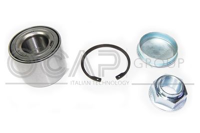 SET RULMENT ROATA OCAP 6120673