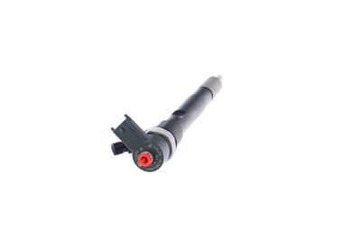 INJECTOR REMANTE 002003000145R 29