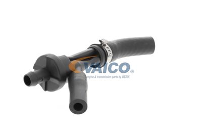 VENTIL LUFTSTEUERUNG-ANSAUGLUFT VAICO V203584 51