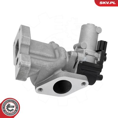 ESEN SKV - AGR - Ventil SSANGYONG , 14SKV345