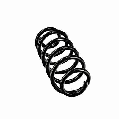 ARC SPIRAL EIBACH R10811 24