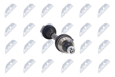 PLANETARA NTY NPWCH175 16