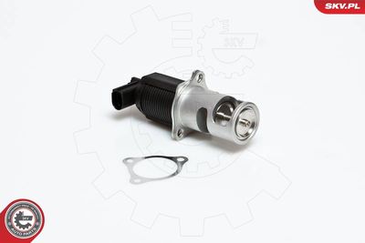 EGR Valve 14SKV032