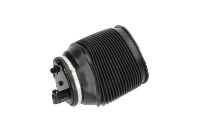 ARC PNEUMATIC DIRECTIE Kavo Parts SAS10012 4