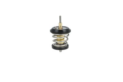 TERMOSTAT LICHID RACIRE NRF 725250 10
