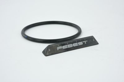 ETANșARE CARCASă CLAPETă FEBEST RINGAH010 48