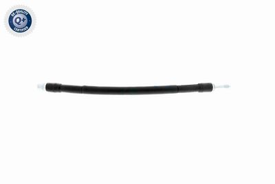 FURTUN FRANA VAICO V104223 6