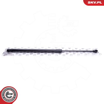 Gasfeder, Motorhaube