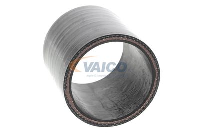 LADELUFTSCHLAUCH VAICO V251019 21