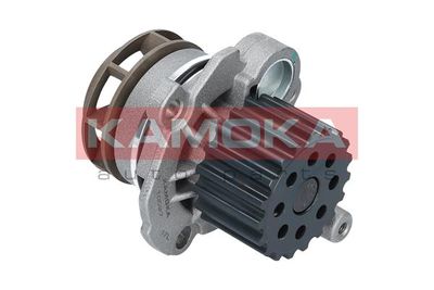 Water Pump, engine cooling T0027