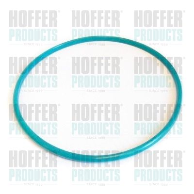 Прокладка, датчик уровня топлива HOFFER GSK01 для NISSAN NOTE