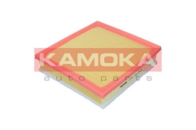 Air Filter F257801