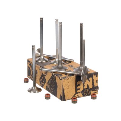 SET SUPAPE SUPAPă ADMISIE/EVACUARE ET ENGINETEAM VS0023VR1 10