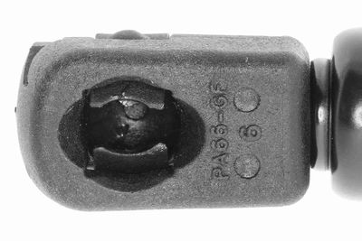 GASFEDER KOFFER-/LADERAUM VAICO V240190 2