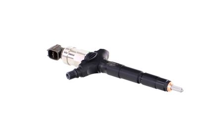 INJECTOR REMANTE 002003001953R 46