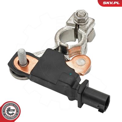 Sensor, Batterietemperatur