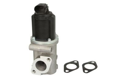 EGR Valve ENT500012