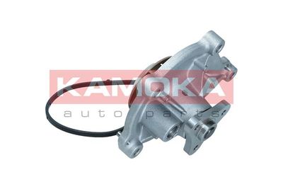 Water Pump, engine cooling T0050